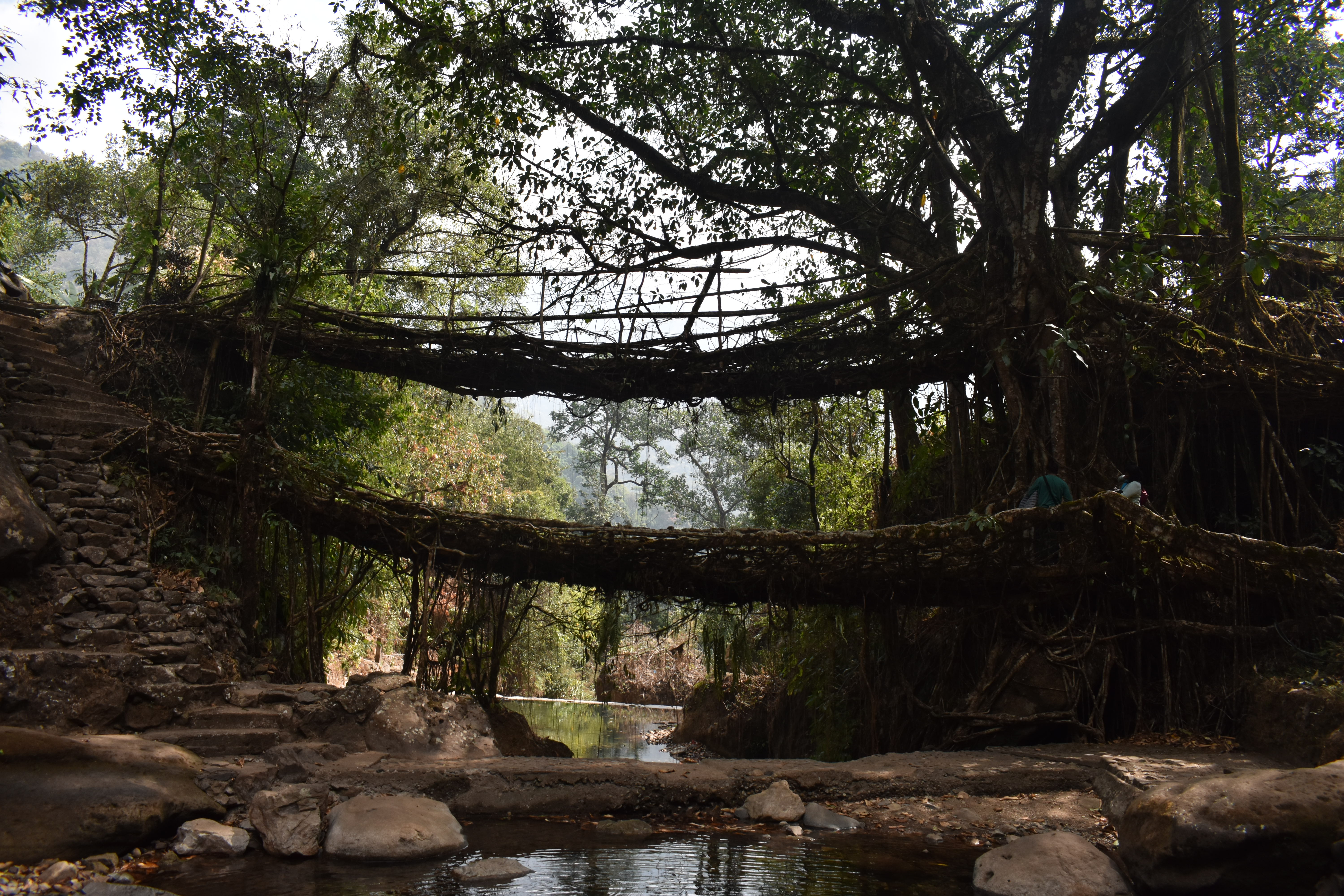 Meghalaya landscape